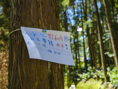 -寂照庵