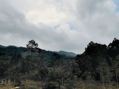 -海南热带雨林国家公园吊罗山景区