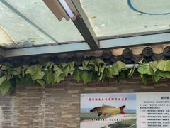 -魁盛居百年鲁菜馆(中林路店)