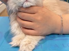 -美迦爱-牙专科·兔科·骨科诊疗中心(北苑店)