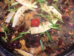 -老板恋上鱼(恒隆广场店)