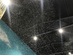 -Mr·Kuma酷么先生雪之乐园