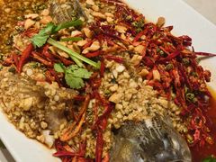 -杨氏青龙虾·羊蝎子(托乐嘉店)