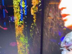 -温莎KTV(珠江路店)