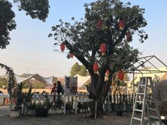 -长洲岛都市农业公园