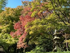 -常寂光寺