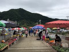 -示范集贸市场