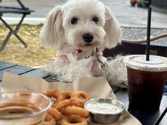 -J Create城市露营咖啡·简餐·宠物(上海动物园店)