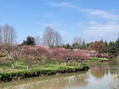 -上海海湾国家森林公园