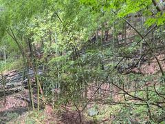 -藏龙百瀑风景区