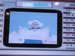 -北京观赏动物医院·24小时大型综合·猫专科·异宠专科