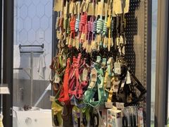 -萌兽医馆·眼科·异宠专科(三里屯店)