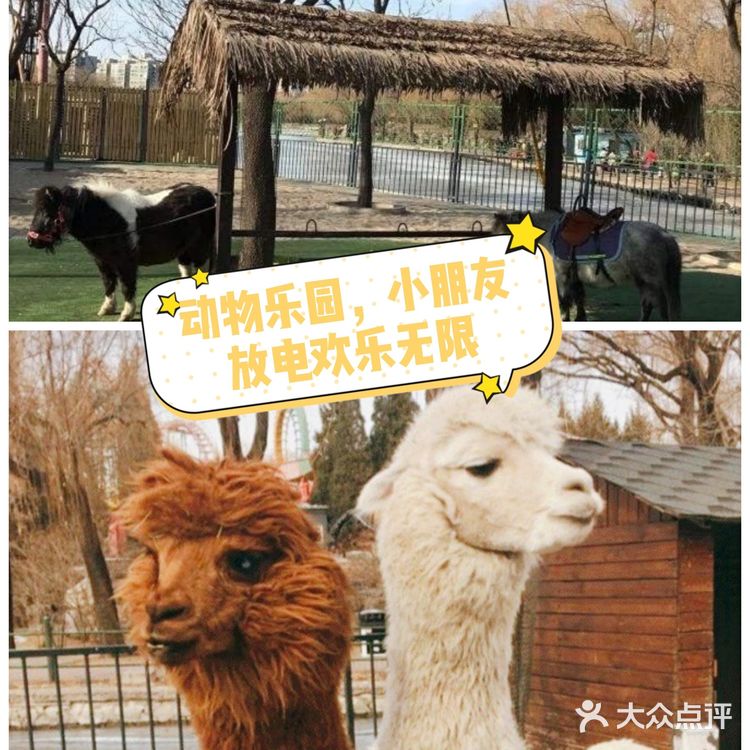 亲子动物乐园,小朋友放电欢乐无限