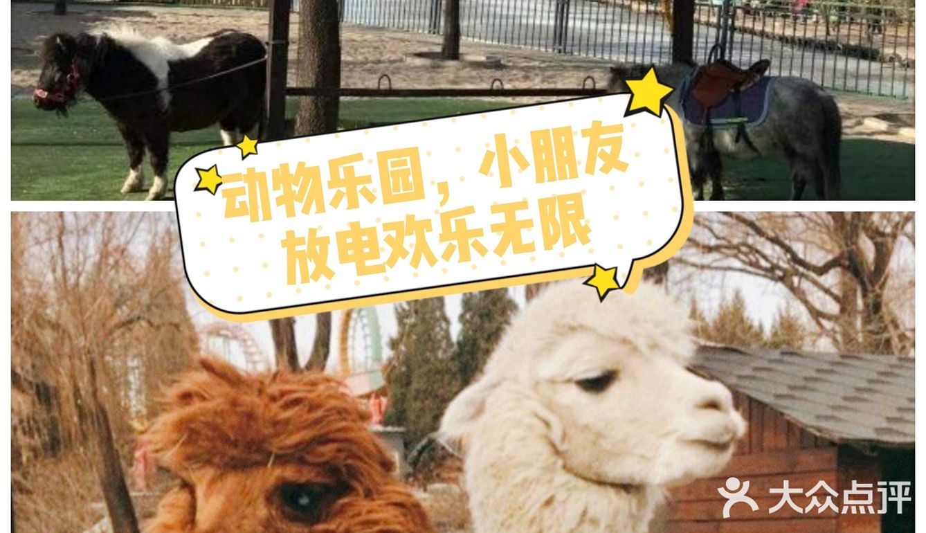 亲子动物乐园，小朋友放电欢乐无限