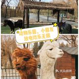 亲子动物乐园，小朋友放电欢乐无限