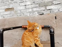 -廖记老砂锅(上清寺店)