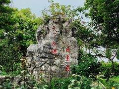 -鹅湖玫瑰文化园