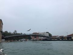 -大运河