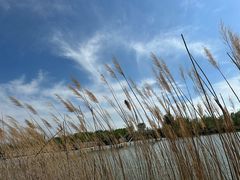 -野鸭湖国家湿地公园