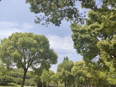 -苏州上方山国家森林公园
