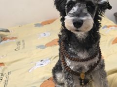 -宠物家(大兴旧宫店)