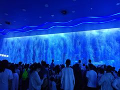 -石家庄极地海洋世界