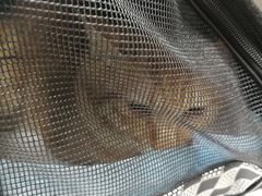 -荔康动物医院(康王北路店)