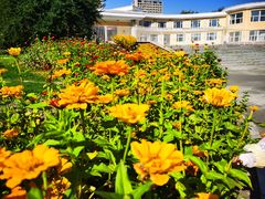 -长春公园(普阳街道)