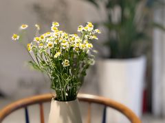 -艾蜜西餐厅(梅园店)