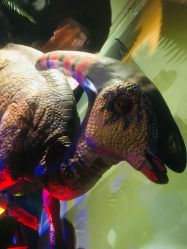 -恐龙探索乐园(磁器口店)