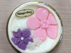 -哈根达斯(朝阳大悦城店)