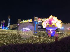 -天府芙蓉园