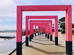 -漳州滨海火山岛自然生态风景区