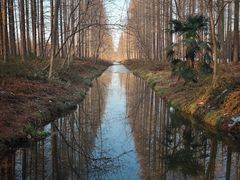 -黄海国家森林公园