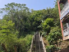 -南宁良凤江国家森林公园