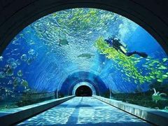 -天房洲际度假酒店宴会厅