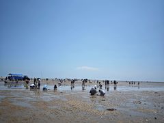 -刘家湾赶海园