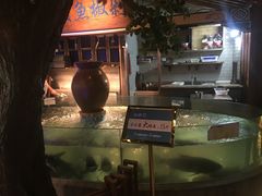 -坛宗剁椒鱼头(河西王府井店)