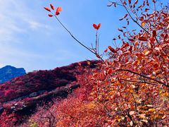 -周口店坡峰岭风景区