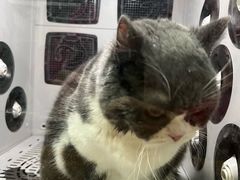 -中农大我爱我爱24h动物医院·中医针灸·猫专科·骨科医疗中心(双井店)