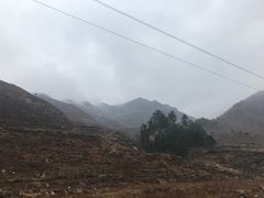 -蔚县茶山村