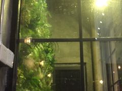 -无牌咖啡&酒馆