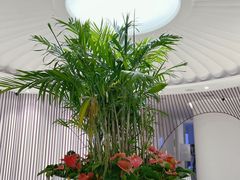 -LANN I 蘭 SPA(陆家嘴中心店)