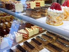 -Madeleine玛德琳(永平里店)