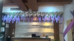 -香秀空间科技抗衰·美容中心