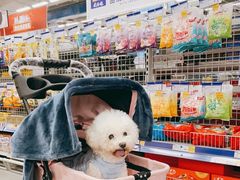 -麦德龙(京顺路商场店)