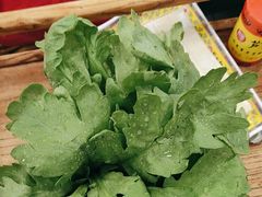 -芦月轩羊蝎子(北蜂窝店)