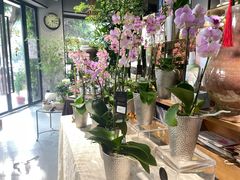 -弗劳尔花艺坊(龙涛店)