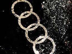 -浙江中升裕迪奥迪4S店(西溪店)