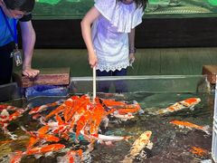 -太平洋海底世界